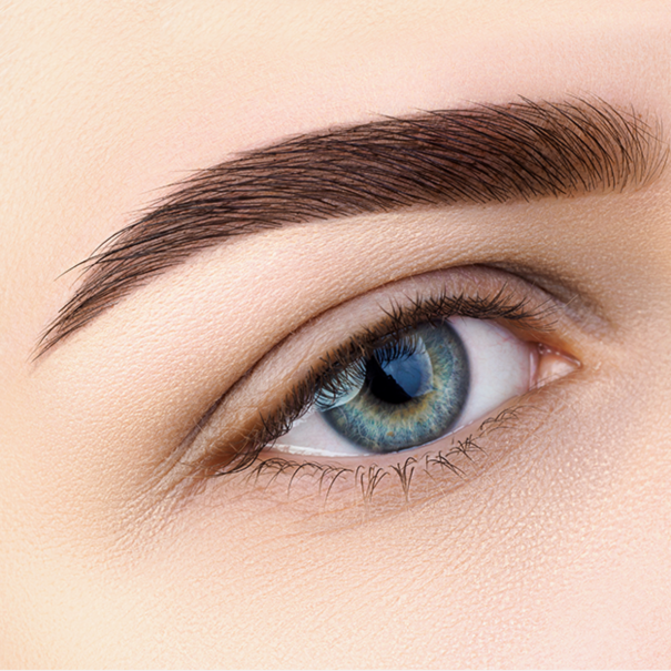 Microblading Ricostruzione Totale Sopracciglia